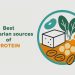 Best vegetarian sources of protein in India