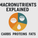 Macronutrients Explained Carbs, Proteins & Fats in Your Diet