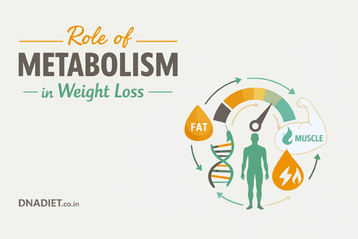 Role of Metabolism in Weight loss