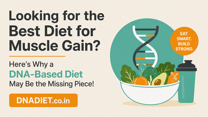 Best Diet for Muscle Gain