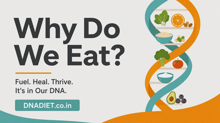 Why Do We Eat?