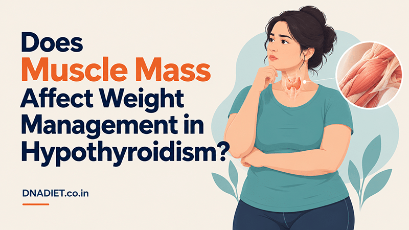Does Muscle Mass Affect Weight Management in Hypothyroidism